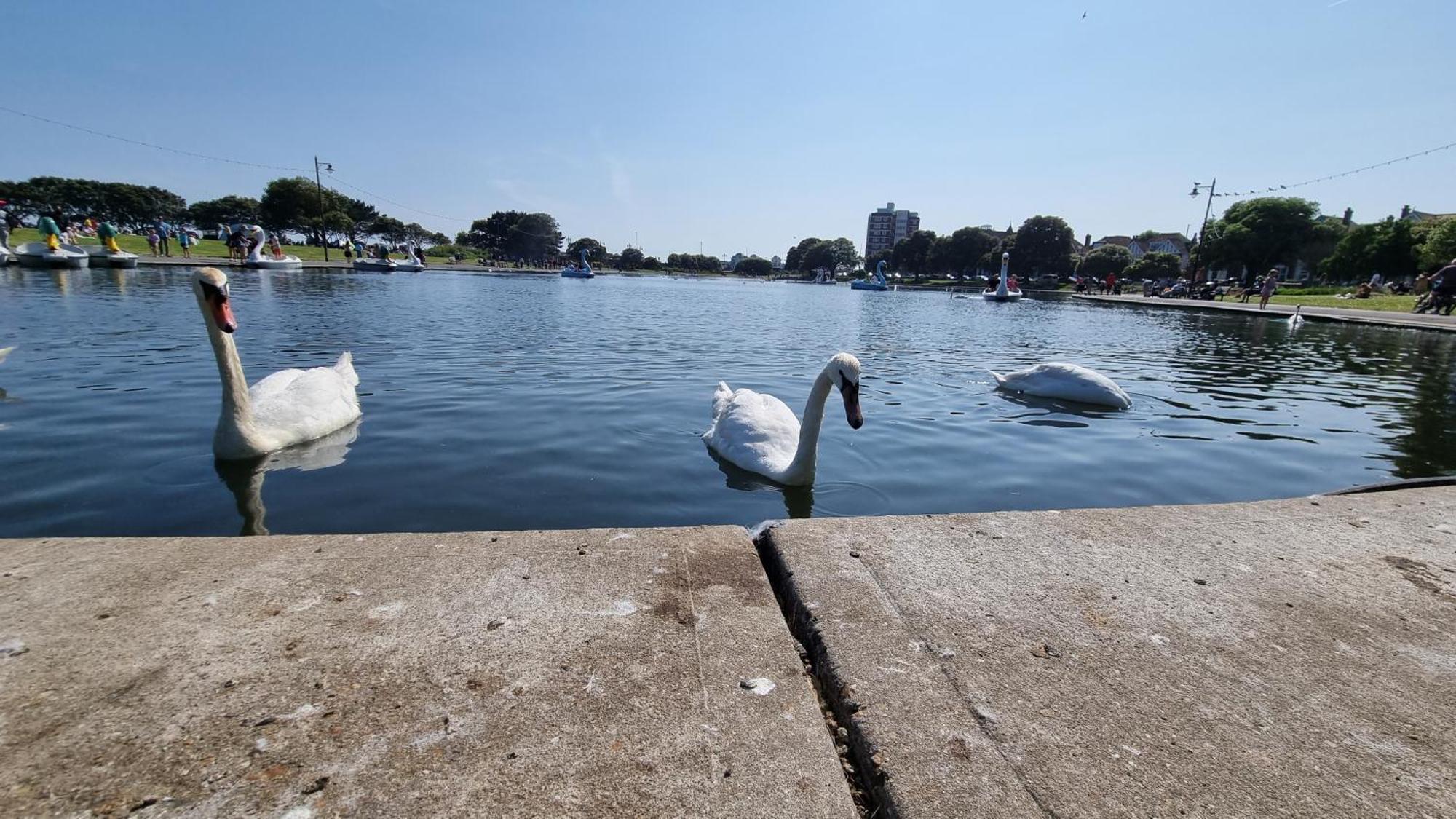 Southsea Escape - Coastal Holiday Apartment - 2 Double Bedrooms ポーツマス エクステリア 写真